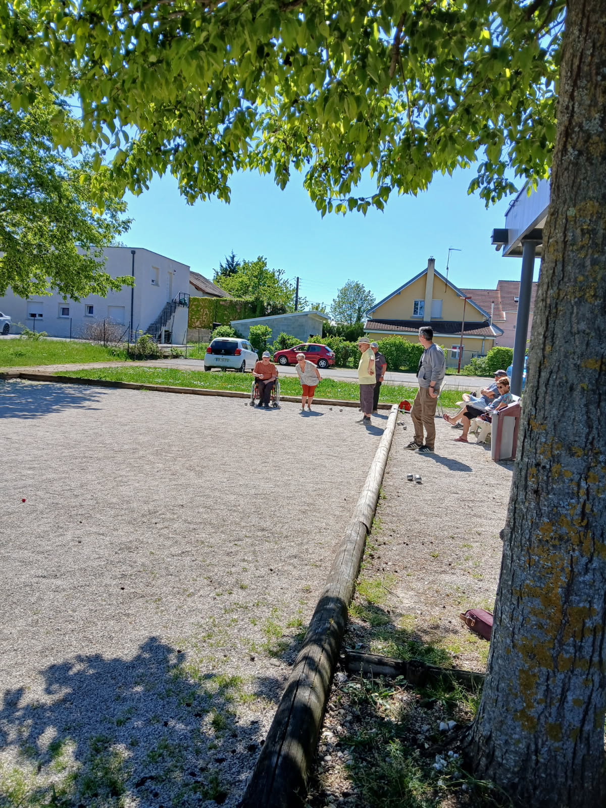 Photo 6